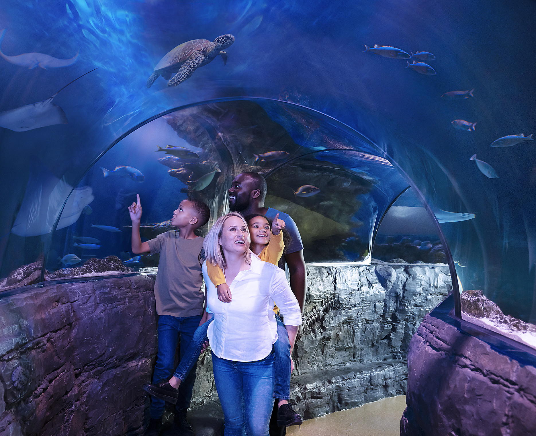 Blackpool Sealife Centre